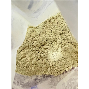 帕潘立酮/9－羟基利培酮,Paliperidone