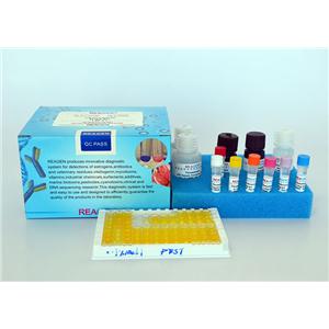 卡那霉素酶联免疫反应试剂盒,Kanamycin ELISA Test Kit