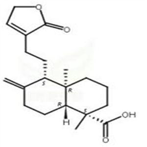 松柏酸,Pinusolidic acid