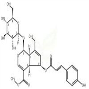 (E)-6-O-对香豆酰鸡屎藤次苷甲酯