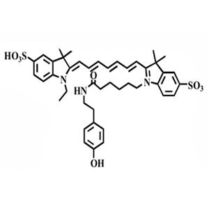 磺酸基-花青素Cy7 酪酰胺