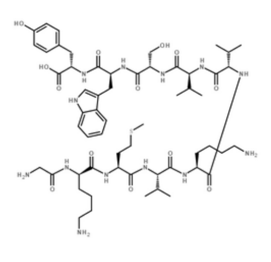 脱氢酶,Dehydrogenase