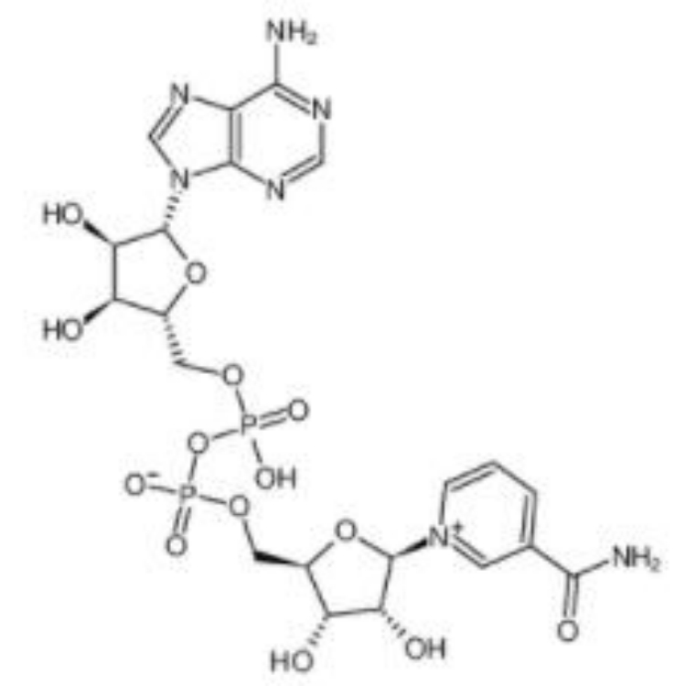 烟酰胺腺嘌呤二核苷酸,β-Nicotinamide