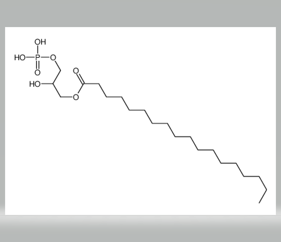 2-hydroxy-3-(phosphonooxy)propyl stearate,2-hydroxy-3-(phosphonooxy)propyl stearate
