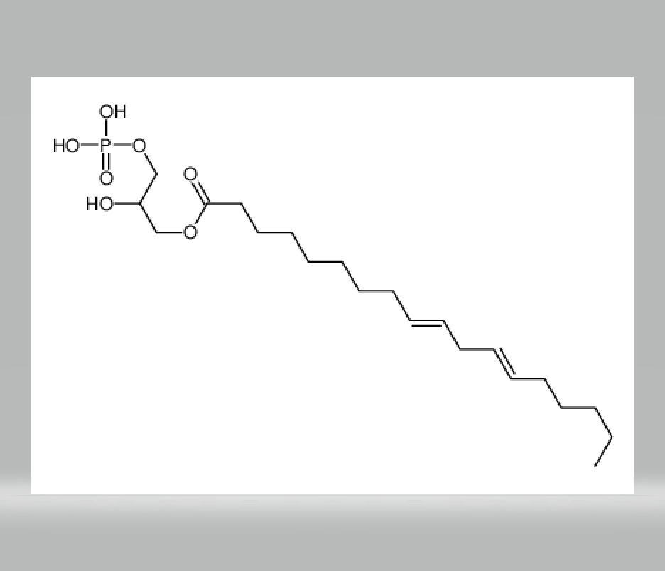 2-hydroxy-3-(phosphonooxy)propyl (9Z,12Z)-octadeca-9,12-dienoate,2-hydroxy-3-(phosphonooxy)propyl (9Z,12Z)-octadeca-9,12-dienoate