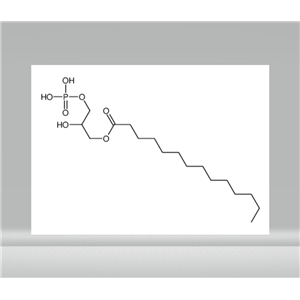 2-hydroxy-3-(phosphonooxy)propyl myristate