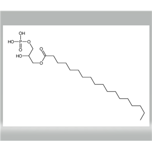 2-hydroxy-3-(phosphonooxy)propyl stearate