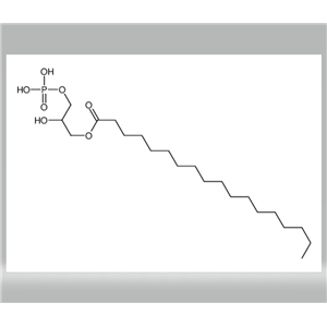 2-hydroxy-3-(phosphonooxy)propyl stearate,2-hydroxy-3-(phosphonooxy)propyl stearate