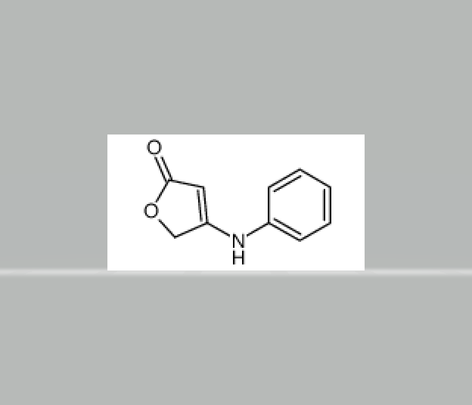 4-anilinofuran-2(5H)-one,4-anilinofuran-2(5H)-one