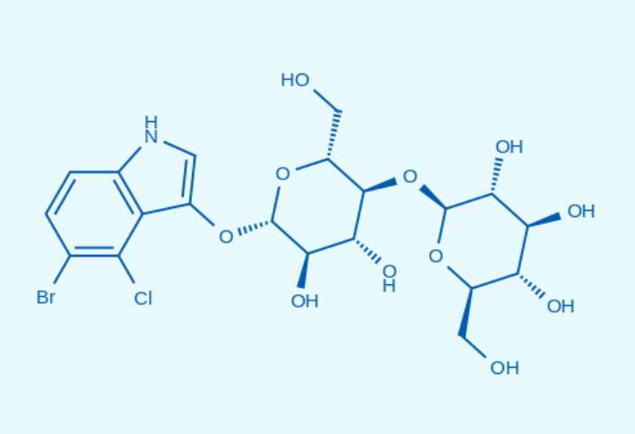 5-溴-4-氯-3-吲哚-β-D-纤维二糖糖苷,5-Bromo-4-chloro-3-indolyl β-D-cellobioside