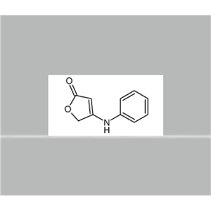 4-anilinofuran-2(5H)-one,4-anilinofuran-2(5H)-one