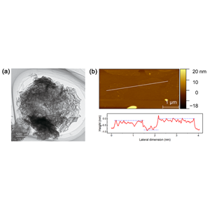 单层二硫化钼纳米片分散液（2H相）,Single-layer MoS2 nanosheet Dispersion