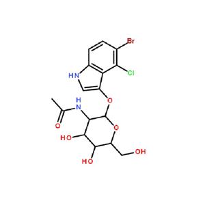 5-溴-4-氯-3-吲哚-N-乙酰 β-D-氨基葡萄糖苷,5-Bromo-4-chloro-3-indolyl 2-acetamido-2-deoxy-β-D-glucopyranoside