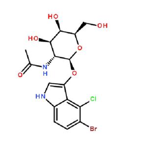 5-溴-4-氯-3-吲哚 N-乙酰 β-D-氨基半乳糖苷
