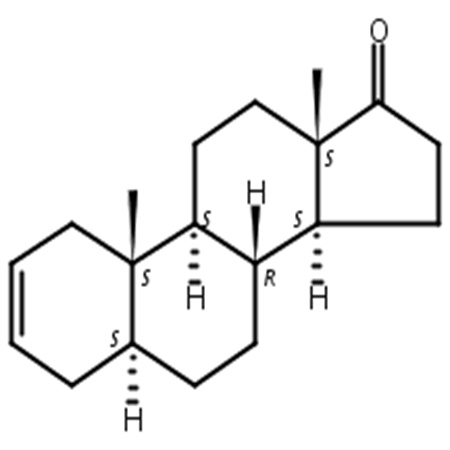 5α-雄甾-2-烯-17-酮,5alpha-androst-2-en-17-one