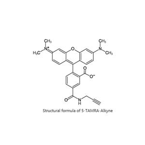 5-TAMRA alkyne|5-羧基四甲基罗丹明-炔烃|945928-17-6