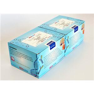 沙拉沙星酶聯(lián)免疫反應(yīng)測試盒,Sarafloxacin ELISA Test Kit