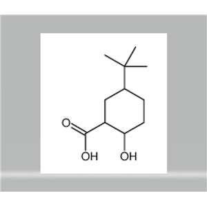 (1alpha,2beta,5alpha)-5-(1,1-dimethylethyl)