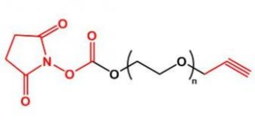 炔基聚乙二醇活性酯,Alkyne-PEG-NHS