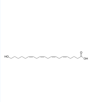 20-羟基二十碳-5Z,8Z,11Z,14Z-四烯酸,20-HETE