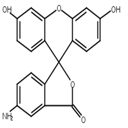 5-氨基荧光素,5-Aminofluorescein