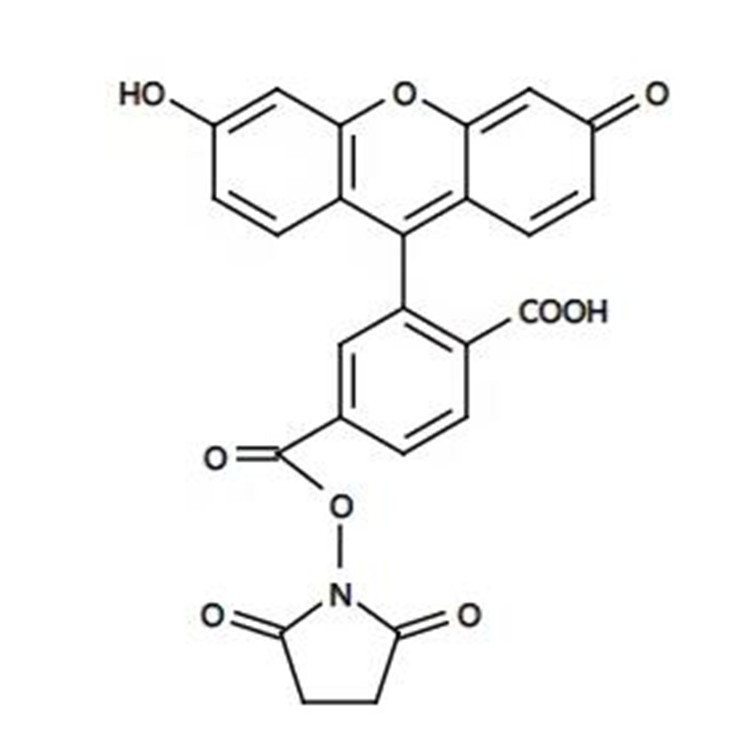 6-羧基荧光素琥珀酰亚胺酯，6-FAM,SE，6-FAM-NHS,6-FAM SE,6-FAM-NHS,6-Carboxyfluorescein N-hydroxysuccinimide ester