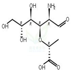 保护胞壁酸,Muramic acid