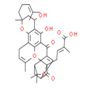 新藤黄酸,neogamogic acid