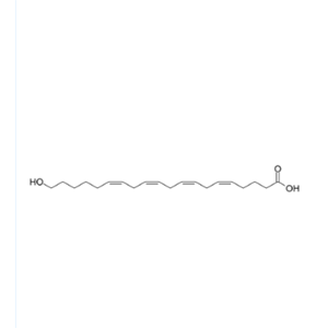 20-羟基二十碳-5Z,8Z,11Z,14Z-四烯酸