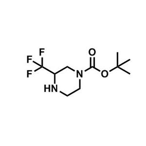 1-BOC-3-三氟甲基哌嗪,tert-Butyl 3-(trifluoromethyl)piperazine-1-carboxylate