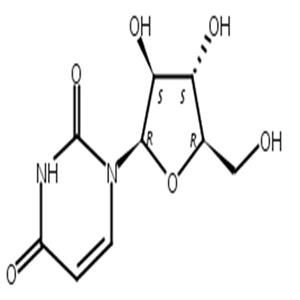 阿糖尿苷,Spongouridine