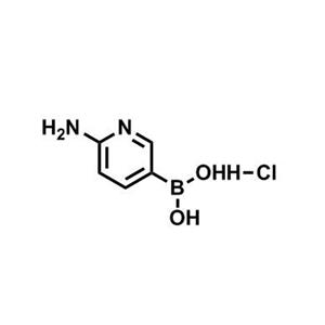 6-氨基吡啶硼酸盐酸盐