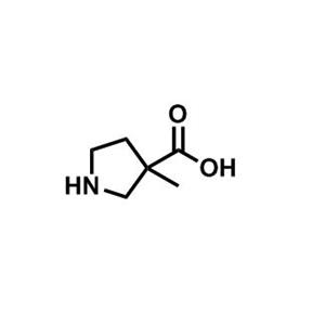 3-甲基吡咯烷-3-羧酸,3-Methylpyrrolidine-3-carboxylic acid