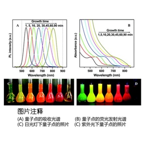 水溶性CdTe/CdS量子 碲化鎘/硫化鎘量子點(diǎn) CdTe/CdS QDS