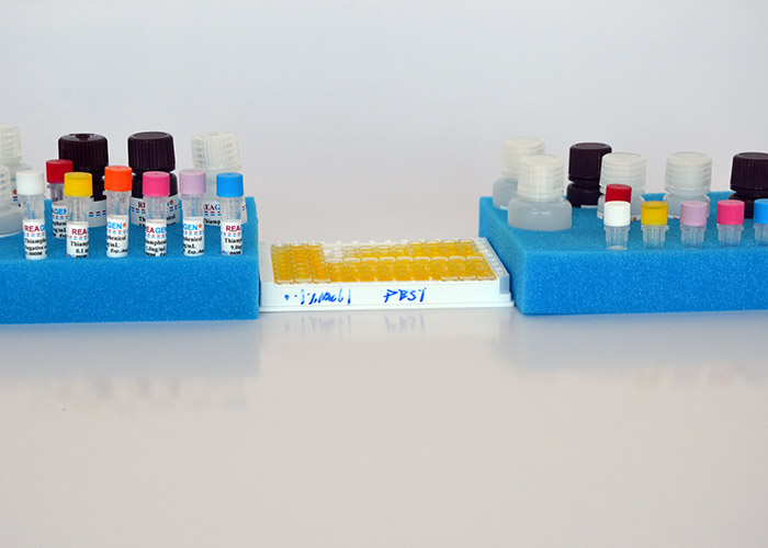 金剛烷胺酶聯(lián)免疫反應(yīng)測(cè)試盒,Amantadine ELISA Test Kit