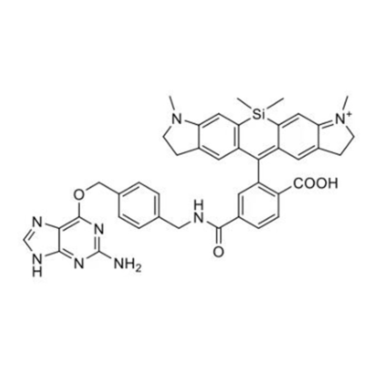 SiR700硅基罗丹明-苄基鸟嘌呤,SiR700-BG,SiR700-Benzylguanine