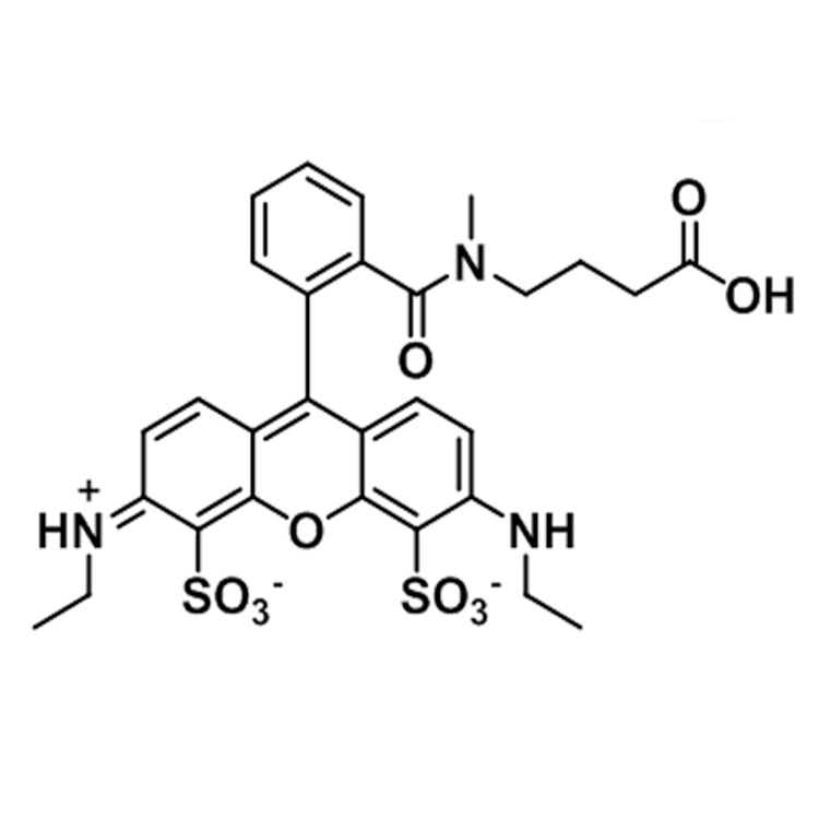 AT 532羧酸,ATTO 532 Acid;AT 532 carboxylic acid;AT 532 COOH