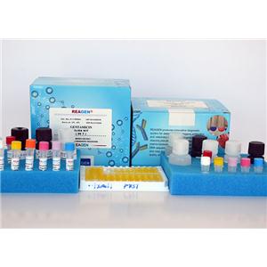 金剛烷胺酶聯(lián)免疫反應(yīng)測(cè)試盒,Amantadine ELISA Test Kit