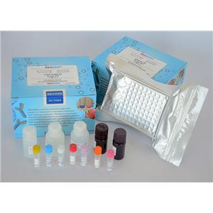 庆大霉素试剂盒,Gentamicin(GM) ELISA Test Kit