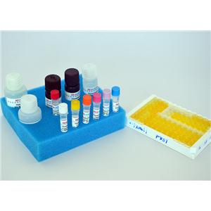 新霉素试剂盒,Neomycin ELISA Test Kit