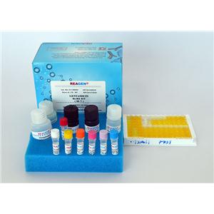 多菌灵酶联免疫反应试剂盒,Carbendazim ELISA Test Kit