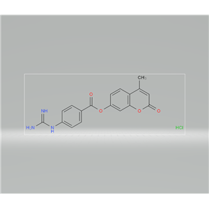 4-甲基伞形酯-P-胍基苯甲酸盐酸盐