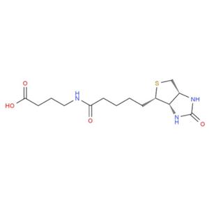 35924-87-9生物素酰基，4-((Biotinoyl)amino)Butyric acid