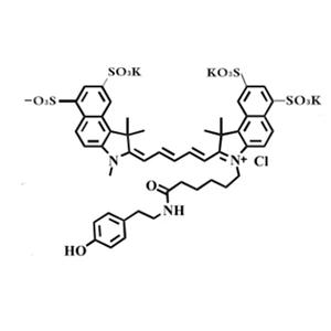 磺酸基-花青素Cy5.5 酪酰胺,Sulfo-Cyanine5.5 Tyramide,Sulfo-Cy5.5 Tyramide