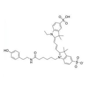 磺酸基-花青素Cy3 酪酰胺