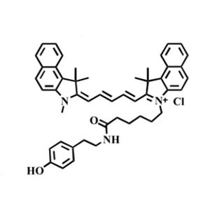 氰基Cy5.5酪酰胺