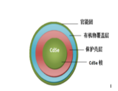 水溶性CdSe量子點(diǎn),CdSe QDS