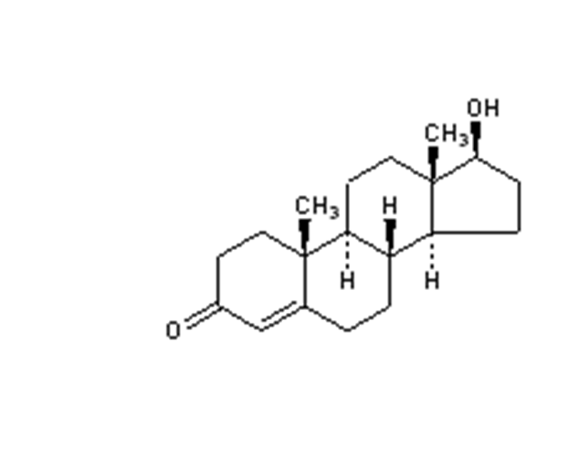 睾酮,Testosterone