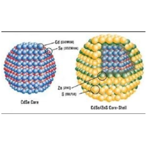 油溶性CdSe/ZnS量子点 520nm