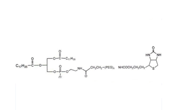 磷脂-聚乙二醇-生物素,DSPE-PEG- Biotin